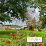 L'étang de la Galiotte dans le parc du Peuple de l'Herbe - Carrières-sous-Poissy (Yvelines) - image00016