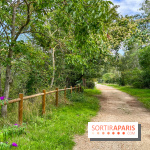 L'étang de la Galiotte dans le parc du Peuple de l'Herbe - Carrières-sous-Poissy (Yvelines) - image00021