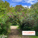 L'étang de la Galiotte dans le parc du Peuple de l'Herbe - Carrières-sous-Poissy (Yvelines) - image00025