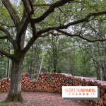 Espace Rambouillet - IMG 4374