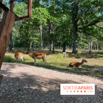 Espace Rambouillet - IMG 4417