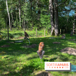 Espace Rambouillet - IMG 4450