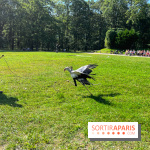 Espace Rambouillet - IMG 4462