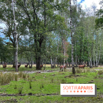 Espace Rambouillet