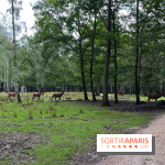 Espace Rambouillet - IMG 4534