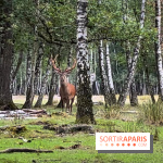 Espace Rambouillet - IMG 4546