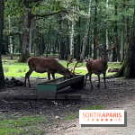 Espace Rambouillet