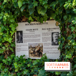 Bourron-Marlotte, village de Seine-et-Marne -  A7C9334