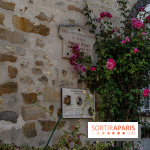 Bourron-Marlotte, village de Seine-et-Marne -  A7C9338