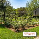 Parc de La Croix du Bois à Voisins-le-Bretonneux -  A7C4052