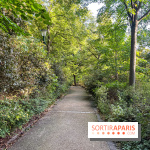 Le parc de Belleville - image00057