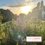 Le parc de Belleville - image00027