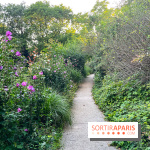 Le parc de Belleville - image00019