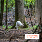 Le village de Janvry en Haute Vallée de Chevreuse  -  A7C0015