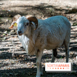 Le village de Janvry en Haute Vallée de Chevreuse  -  A7C0060