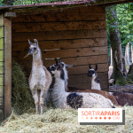 Le village de Janvry en Haute Vallée de Chevreuse  -  A7C0046