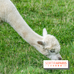 Le village de Janvry en Haute Vallée de Chevreuse  -  A7C9966