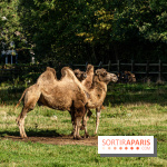 Le village de Janvry en Haute Vallée de Chevreuse  -  A7C0067