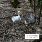 Le village de Janvry en Haute Vallée de Chevreuse  -  A7C0001