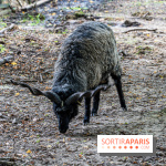 Le village de Janvry en Haute Vallée de Chevreuse  -  A7C9982