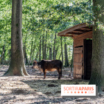 Le village de Janvry en Haute Vallée de Chevreuse  -  A7C0064