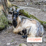 Le village de Janvry en Haute Vallée de Chevreuse  -  A7C0061