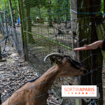 Le village de Janvry en Haute Vallée de Chevreuse  -  A7C9984