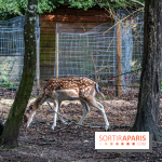 Le village de Janvry en Haute Vallée de Chevreuse  -  A7C0052
