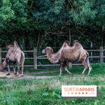 Le village de Janvry en Haute Vallée de Chevreuse  -  A7C9971