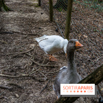 Le village de Janvry en Haute Vallée de Chevreuse  -  A7C0003