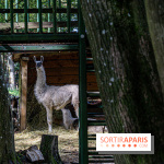 Le village de Janvry en Haute Vallée de Chevreuse  -  A7C0041