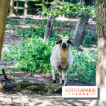 Le village de Janvry en Haute Vallée de Chevreuse  -  A7C0059