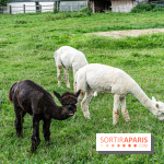 Le village de Janvry en Haute Vallée de Chevreuse  -  A7C9962