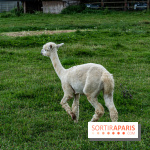 Le village de Janvry en Haute Vallée de Chevreuse  -  A7C9976