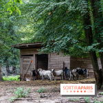 Le village de Janvry en Haute Vallée de Chevreuse  -  A7C9991