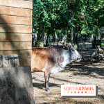 Le village de Janvry en Haute Vallée de Chevreuse  -  A7C0065