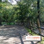 Le village de Janvry en Haute Vallée de Chevreuse  -  A7C0062