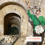 Provins, cité médiévale