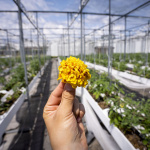 Paris Rooftop Days : découvrez 5 Rooftops insolites - natureurbaine 01