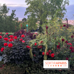 Festival Silhouette au parc de la Butte du Chapeau Rouge - image00008