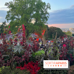 Festival Silhouette au parc de la Butte du Chapeau Rouge - image00005