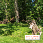 Folies lavoirs, les lavoirs des Yvelines et de la Vallée de Chevreuse accueillent l'art contemporain -  A7C0208