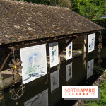 Folies lavoirs, les lavoirs des Yvelines et de la Vallée de Chevreuse accueillent l'art contemporain -  A7C0197