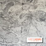 Le château d'Asnières-sur-Seine - image00190