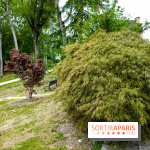 Maison-Atelier Foujita - DSC03042