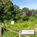 Village de Rochefort en Yvelines -  A7C0252