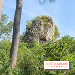 Village de Rochefort en Yvelines -  A7C0273