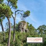 Village de Rochefort en Yvelines -  A7C0275