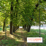 Village de Dampierre en Yvelines  -  A7C0153