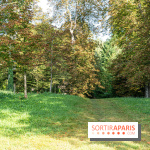 Village de Dampierre en Yvelines  -  A7C0145